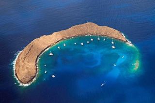 Half-Day Deluxe Molokini Snorkel Excursion in Maui