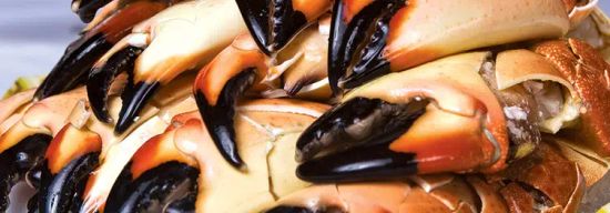 Truluck's - Ocean's Finest Seafood & Crab - Austin Downtown