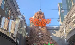 Rainforest Cafe- Niagara Falls