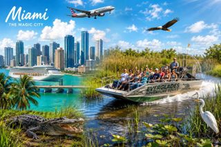 Miami Combo: Everglades Adventure and Sightseeing Tour