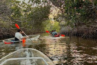 Clear Kayak Morning Tour in Anna Maria Island