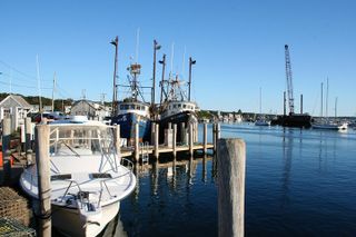 All New Shared Jaws tour Budget Friendly