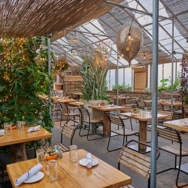 Terrain Cafe – Glen Mills