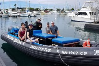 Big Island: Marine Wildlife Excursion