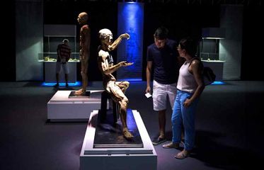 Bodies: The Exhibition