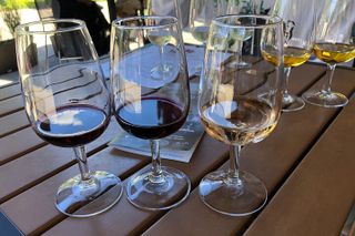 Relaxing Wine Tour through Niagara's Wine Country