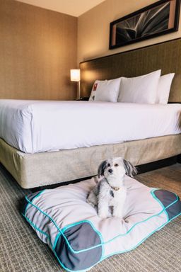 Grand Hyatt Scottsdale Resort