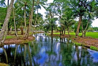 Hilo Town Tour Hop on Hop off experience