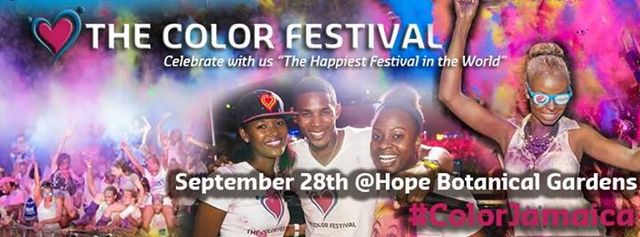 The Color Festival