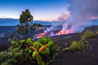 Day Trip from Oahu to Hilo: Volcano Adventure