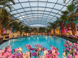 Relax 'n Wellness at Thermal Spa Bucharest (Full Access+Transfer)