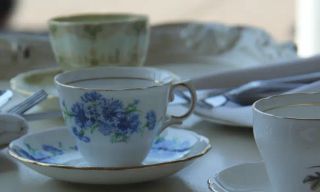 Turner Pavillion Teahouse @ Royal Botanical Gardens