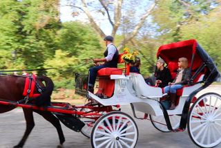 NYC Central Park Horse Carriage Ride (Up to 4 Adults)