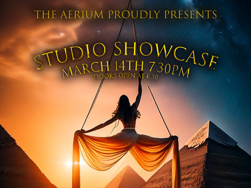 The Aerium's Studio Showcase 2025