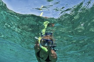 Frisky Mermaid Scenic Bay Cruise + Snorkeling Stop + Equipment