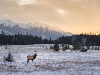 Discover Rocky Mountain National Park