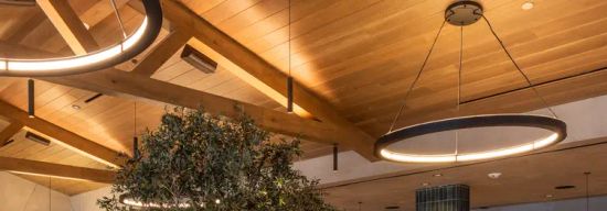 The Amalfi Llama - San Diego