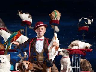 Popovich Comedy Pet Theatre