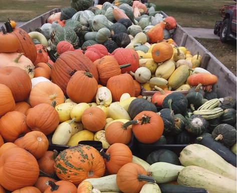 Black Hills Farmers Market