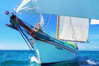 Sunset & Champagne Cruise on a Classic Schooner with boat dogs