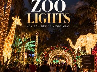 Zoo Lights Miami