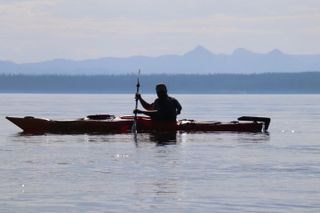 Early Morning Guided Kayak Tour