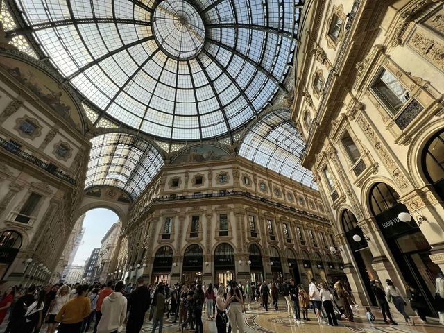 Milan Runway Show & VIP Experience