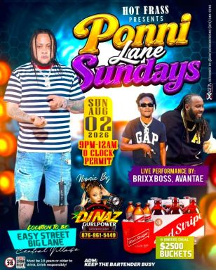 Ponni Lane Sundays
