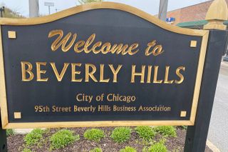 Small-Group Tour of Chicago Neighborhoods: North and South Side
