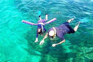 Florida Keys: 2-Hour Snorkeling Adventure