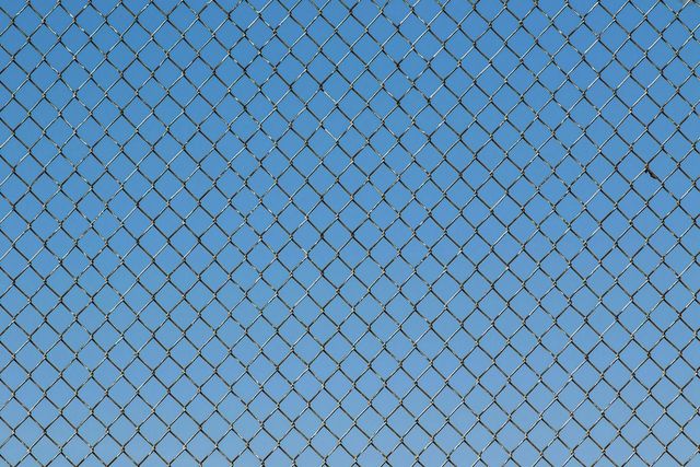 Gender Matters: Harsha Walia | Abolish Borders