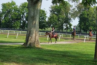 Full-Day Lexington Farm Tour with Clay Pigeon Shooting