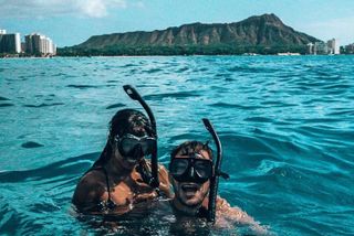 Waikiki: Turtle Canyon Morning Snorkel & Sail | Oahu