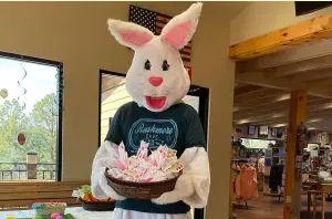 Spring Fling & Glow Egg Count