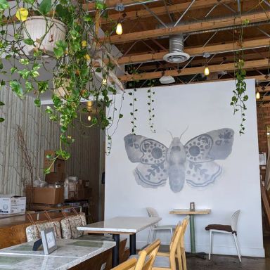 The Moth Cafe