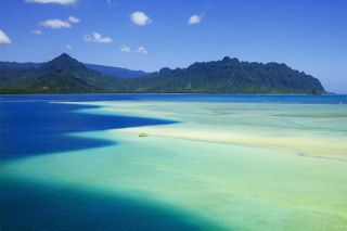 Kaneohe Sandbar Afternoon Snorkeling Tour