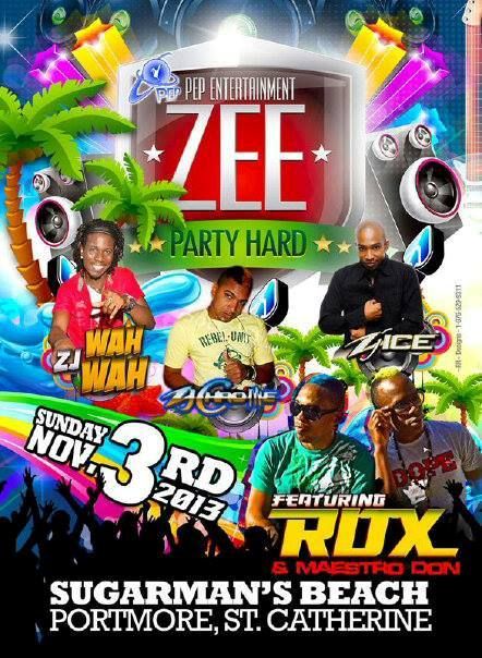 Zee Party Hard -  Bay Watch Edition