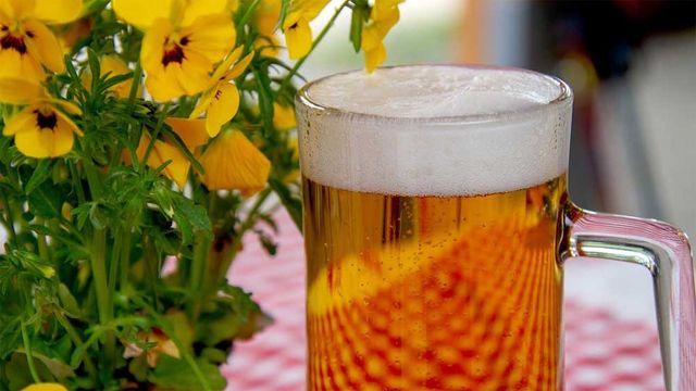 Great Alaska Beer & Barley Wine Festival 2027