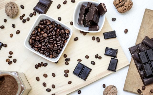 Brews & Bites: The Ultimate Coffee & Chocolate Expo