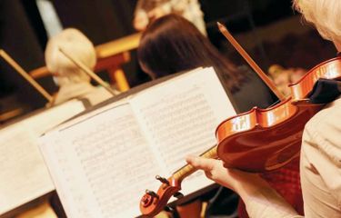 Newfoundland Symphony Orchestra - The Once