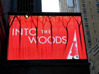 Into the Woods Sr.