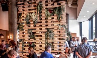 Alma Cocina Buckhead