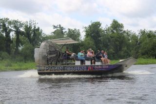 Airboat Swamp Tour