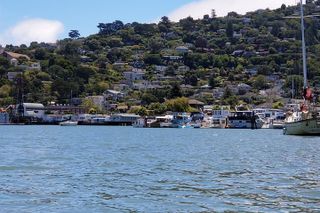 Combo Small-Group Tour: SF City plus Muir Woods & Sausalito