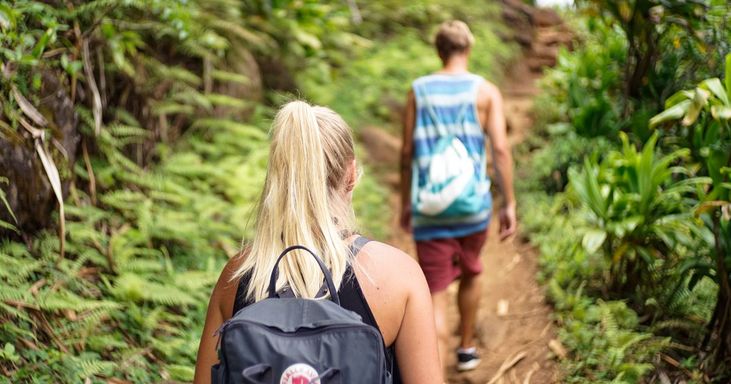 Wellness Hikes: Carrington Factory Yard