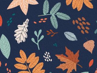 3rd Eleven Eleven Events Annual Fall Market