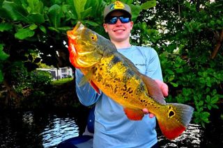 Private Peacock Bass Fishing Charter Near Miami Beach