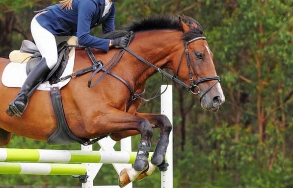HEP Canadian Show Jumping Championship/Mad Barn Indoor Eventing
