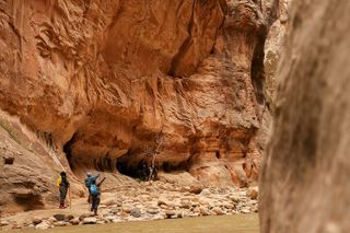 Zion Full Day Small Group Tour & Hike - with Narrows