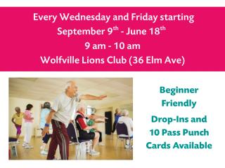 Older Adult Fitness